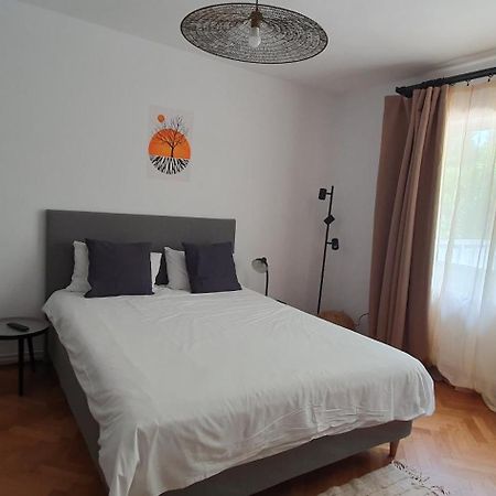 The Pines Serviced Apartments Braszów Zewnętrze zdjęcie