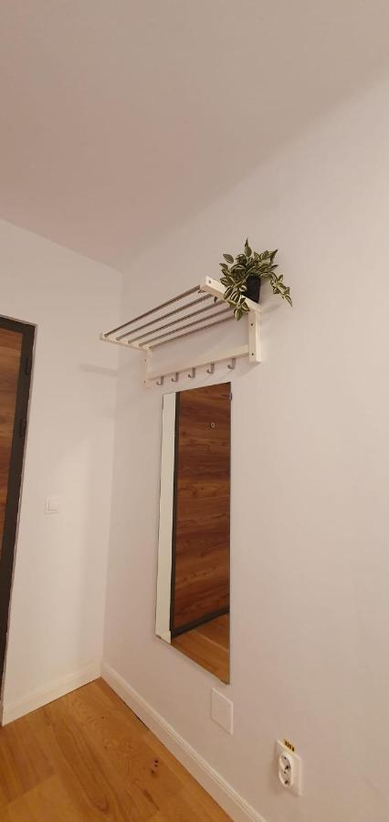 The Pines Serviced Apartments Braszów Zewnętrze zdjęcie